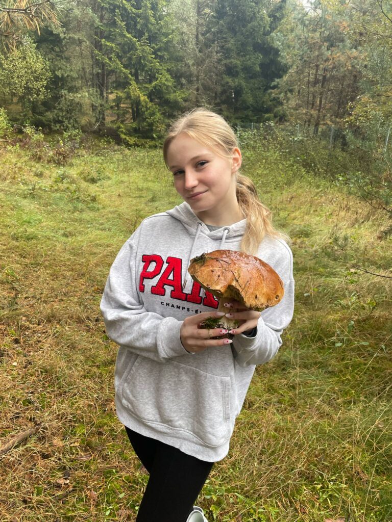 9c791395 0031 4d87 b88b f52bbdf3792c