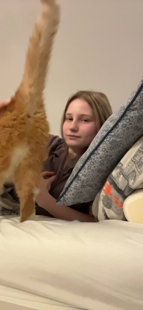 cd61a7db ebd3 42a5 a79a 84a3c7ca4c87